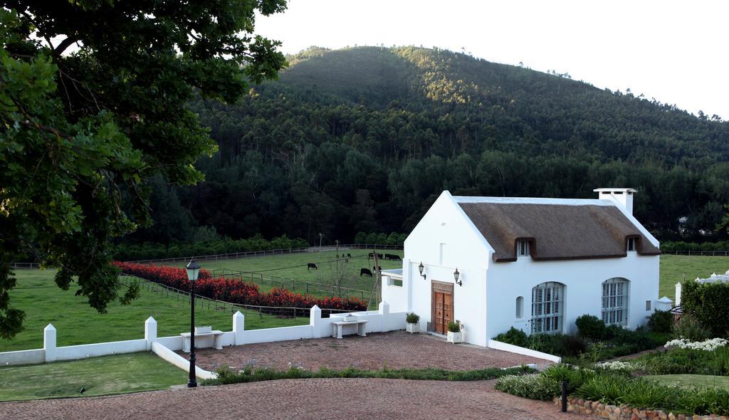 Grand Dédale Country House Wellington Extérieur photo